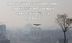 Cambridge Üniversitesi araştırması: Hava kirliliği demans riskini artırıyor