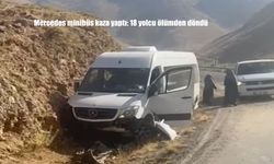 Van-Bahçesaray yolunda, 18 yolcunun bulunduğu minibüs kaza yaptı