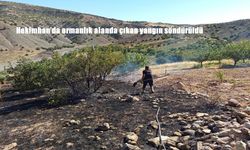 Malatya Hekimhan’da orman yangını paniğe neden oldu: Alevler kısa sürede kontrol altına alındı