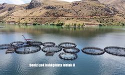 Denizi Olmayan Erzincan, Balıkçılıkta Türkiye’ye Örnek Oluyor