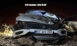 Otomobil şarampole devrildi: 1 ölü, 3 yaralı