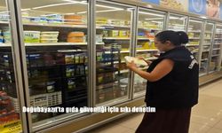 Doğubayazıt’ta Gıda Güvenliği İçin Yoğun Denetimler Başladı