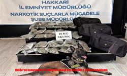 Hakkâri’de Kamyonetten 26 Kilo Skunk Çıktı: 1 Kişi Tutuklandı