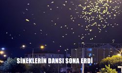 Bir Günlükler ve Mayıs Sineklerinin Ölüm Dansı Sona Erdi