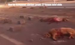 Kamyonet Sürüye Çarptı: 37 Koyun Telef Oldu