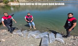 Beyhan Baraj Gölü Canlandı: 50 Bin Yavru Balık Salındı