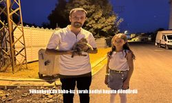 Yüksekova’da Baba-Kız Yaralı Kediyi Kurtararak Hayata Döndürdü