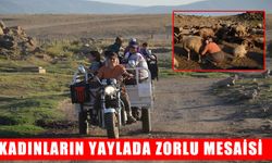 Muş’ta ‘Berivanlar’ın zorlu yayla yolcuğu