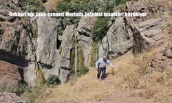 Hakkari’nin Saklı Cenneti Marînüs Şelalesi Doğaseverleri Kendine Hayran Bırakıyor