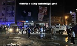 Yüksekova'da Özgürlük Meydanı'nda Kavga: 1 Kişi Yaralandı