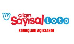 Çılgın Sayısal Loto Sonuçları 30 Ağustos 2025: 134 Milyon TL Devretti!