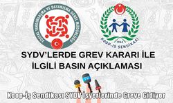 Muş SYDV çalışanları greve gidiyor