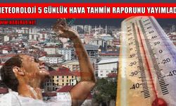 Sıcaklık düşüyor, nem artıyor: Meteoroloji'den Muş için 5 günlük hava raporu