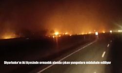 Diyarbakır Hani ve Lice'de orman yangınına müdahale sürüyor