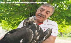 Tunceli’de kaya kartalı ile kurulan sıra dışı dostluk görenleri şaşırtıyor