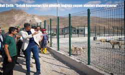 Hakkari’de sokak hayvanları için güvenli yaşam alanları kuruluyor