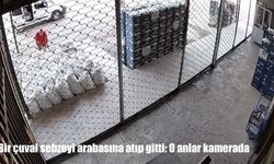 Elazığ'da sebze hırsızlığı kamerada