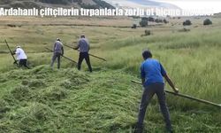 Ardahan’da tırpanlarla ot biçme mesaisi