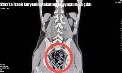 Kars’ta İranlı kuryenin makatından uyuşturucu çıktı