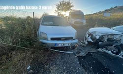 Bingöl Genç’te trafik kazası: 3 yaralı