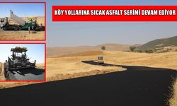 Muş’un sınır köyü Yolgözler’e sıcak asfalt: Ulaşımda konfor artıyor