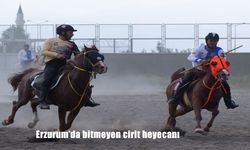 Erzurum’da cirit heyecanı lig maçlarıyla sürüyor