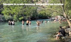 Yüksekova’da sıcaktan kaçanlar Avaşin Deresi’nde serinliyor