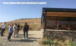 Susuz Şelalesi Çevresinde Çevre Düzenleme Çalışmaları Devam Ediyor