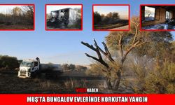 Muş’ta piknik ateşi yangına neden oldu: 1 kişi gözaltında