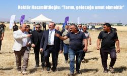 Erzurum Ovası’nda buğday hasadı başladı: "Tarım, geleceğe umut ekmektir"