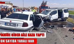 Muş’tan Ahlat’a pikniğe giden aile kaza yaptı: 3'ü ağır, 8 yaralı