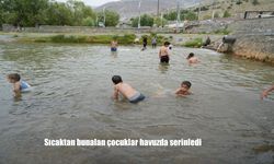 Erzincan'da sıcaktan bunalanlar Ekşisu Mesire Alanı’nda serinliyor