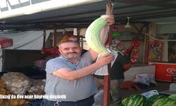 Elazığ’da 2,5 kilo ağırlığındaki dev acur ilgi gördü