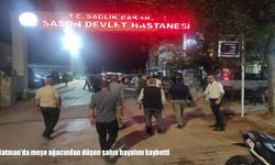 Batman’da meşe ağacından düşen şahıs hayatını kaybetti