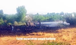 Ahlat’taki tarihi mezarlıkta yangın çıktı