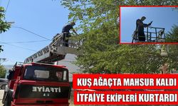 Muş’ta ağaçta asılı kalan kuşu itfaiye kurtardı