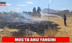 Muş’ta anız yangını ekipleri harekete geçirdi