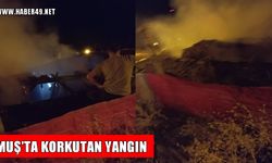 Korkut’ta ahır yangını!