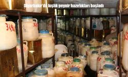 Diyarbakır’da kışlık peynir hazırlıkları başladı: Soğuk Hava depolarına yoğun ilgi