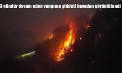 Denizli’de başlayan yangın Aydın’a sıçradı: 3 gündür müdahale devam ediyor