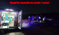 Bingöl’de otomobilin ata çarpması sonucu 2 kişi yaraland