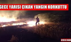 Muş'un Körpeağaç Köyü'nde çıkan anız yangını korkuttu