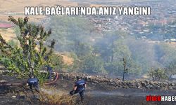 Muş Kale Bağları’nda anız yangını