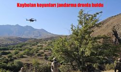 Van’da kaybolan koyunlar jandarmanın dron desteğiyle bulundu