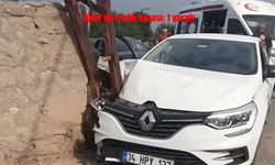 Iğdır'da otomobil direğe çarptı: 1 yaralı