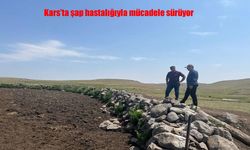 Kars’ta Şap Hastalığına Karşı Yoğun Mücadele