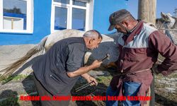 Hasadın Sessiz Kahramanları: Üç Kuşaktır Köy Köy Dolaşıp Atları Nallıyorlar