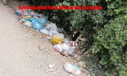 Doğal Güzelliğiyle Büyüleyen Kaval Şelalesi, Çevre Kirliliğiyle Gündemde