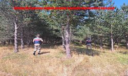 Jandarma, Ardahan’da Ormanlık Alanlarda Devriye Görevini Yoğunlaştırdı