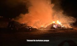 Tekman’da Korkutan Yangın: 1 Ahır, 1 Samanlık Yandı, 5 Büyükbaş Hayvan Telef Oldu